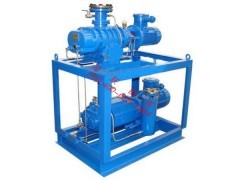 ZBK-16型羅茨真空泵及東北水環(huán)羅茨真空機(jī)組的價(jià)格與商業(yè)應(yīng)用